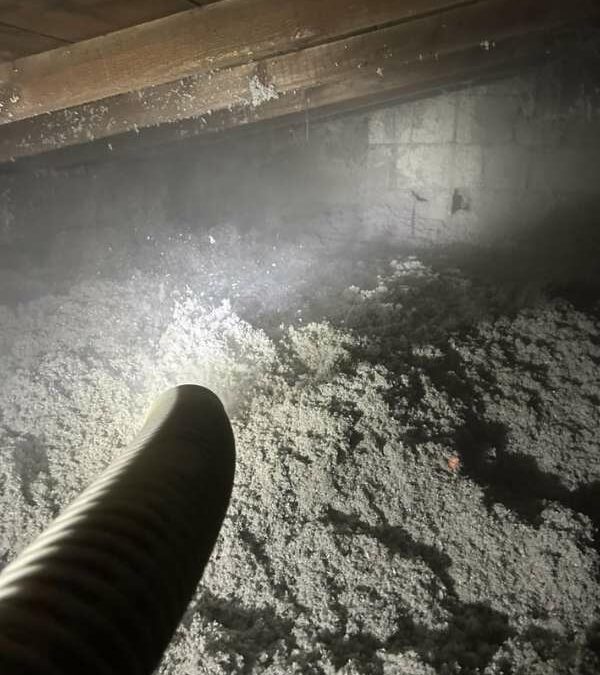 Isolation à Guipavas